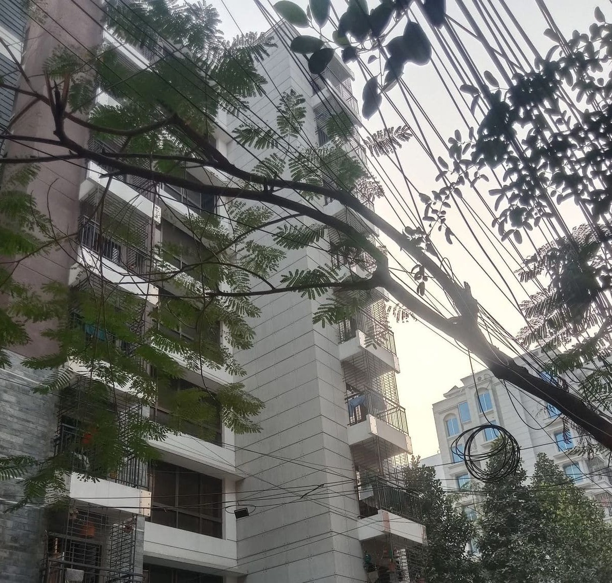 APARTMENT For Sale Bashundhara.